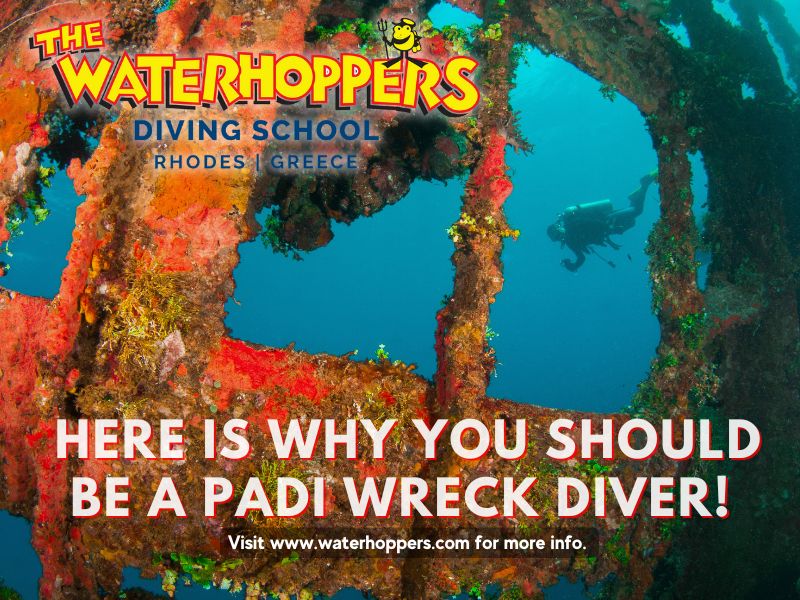 Why You Should Be a PADI Wreck Diver